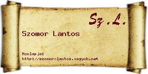 Szomor Lantos névjegykártya